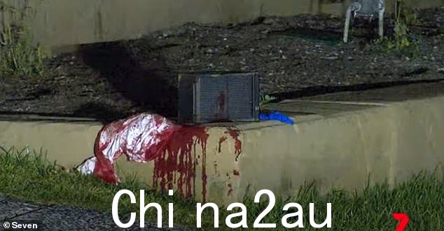 一名 28 岁的技工,据称也被刺伤,描述了事件发生时他在争吵后如何离开派对