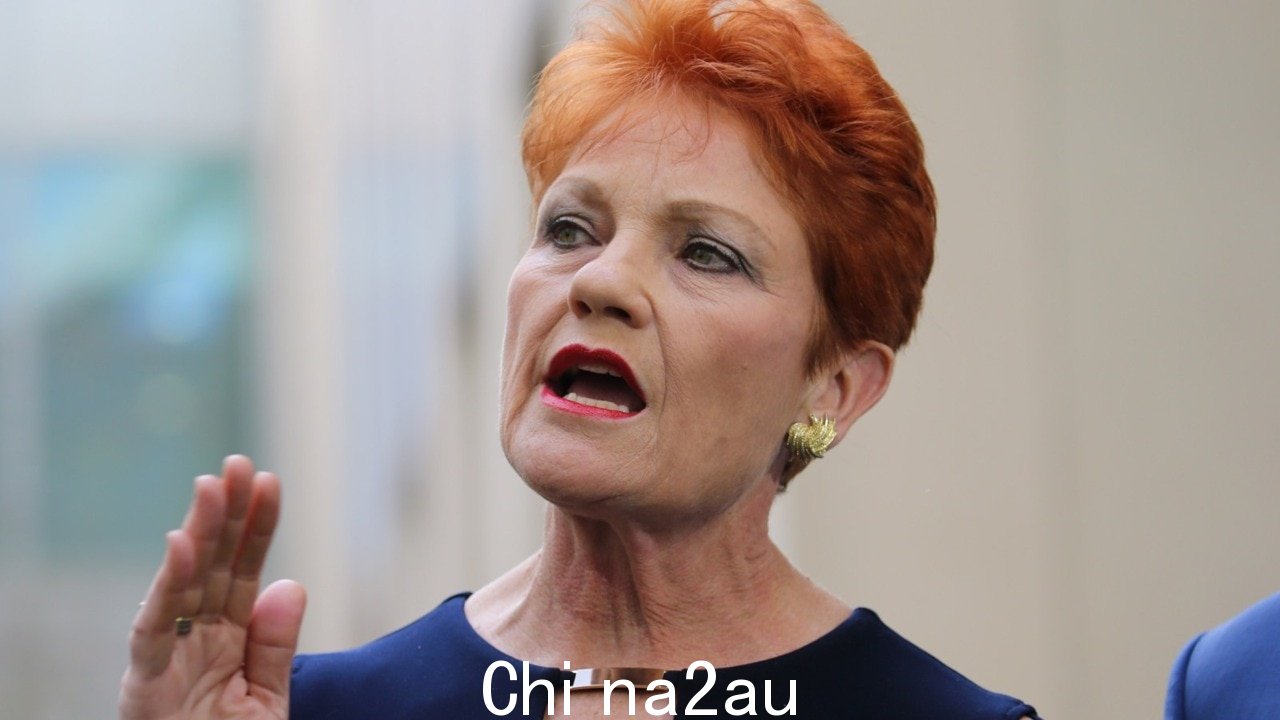 '恶心':Pauline汉森在住房危机中猛烈抨击工党的移民计划