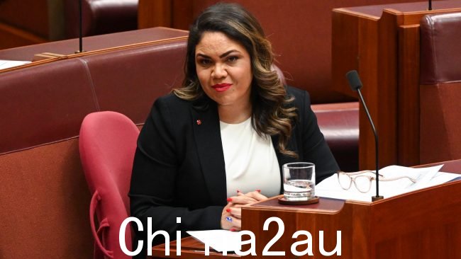 Shadow Indigenous Australians 部长 Jacinta Nampijinpa Price 表示,她对这段视频感到“完全不安”。图片:NCA NewsWire / Martin Ollman