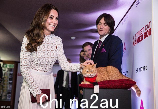 威尔士王妃迎接猫鲍勃和他的主人詹姆斯·鲍文《一只名叫鲍勃的流浪猫》世界电影首映式,2016 年伦敦