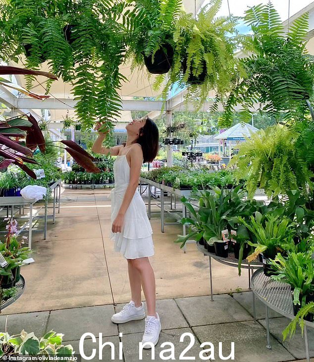 '美丽的热带树木和竹林绿洲环绕着这家美丽的咖啡馆餐厅,位于同样美丽而宏伟的花园中心,'另一条五星级评论写道