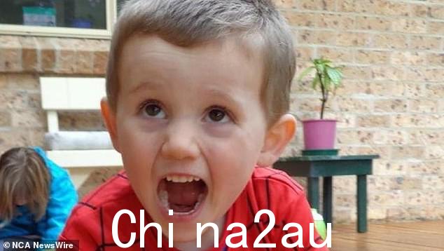 William Tyrrell(照片于 2014 年 3 岁时失踪)