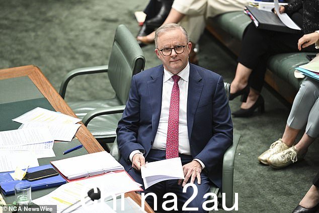 Albanese 拒绝允许 Wilkie 提交与其指控相关的文件