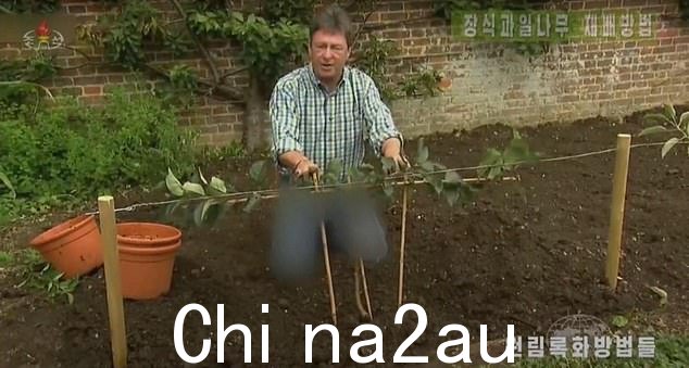 园艺传奇人物艾伦·蒂奇马什 (Alan Titchmarsh) 在《花园的秘密》周一在韩国中央电视台播出后,他的蓝色牛仔裤被模糊了