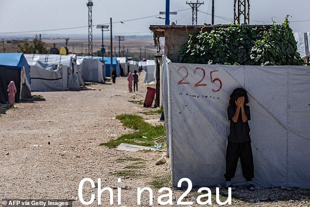 2023 年 10 月 8 日,叙利亚东北部哈塞克省 al-Malikiyah (Derik) 附近的乡村,一名儿童躲在 Roj 营,这里关押着涉嫌属于伊斯兰国 (IS) 组织的人员的亲属