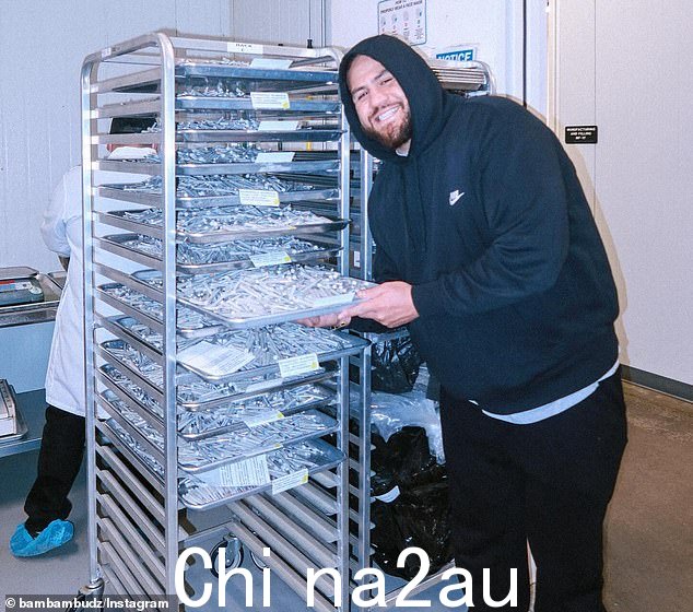 Bambambudz 还计划出售大麻和在泰国开设药房