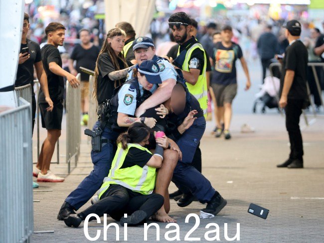 野生图像捕捉到了悉尼奥林匹克公园的逮捕过程。图片：NCA NewsWire / Damian Shaw