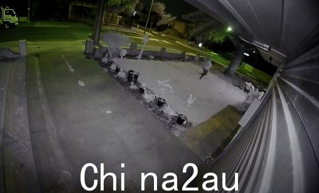 被指控的小偷被拍到从另一起植物盗窃现场冲刺而出
