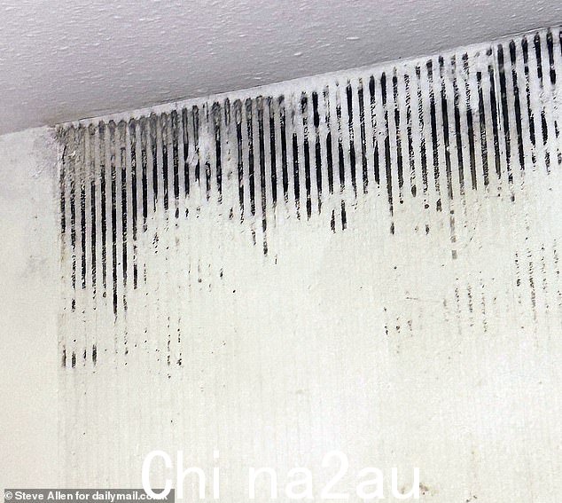罗奇代尔一家透露,他们在狭窄、发霉的家中“感觉不安全”