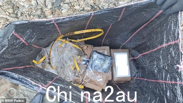 在悉尼和纽卡斯尔之间的海岸线上发现了多达 213 公斤的可卡因,其中 90 公斤是在新年期间发现的(图为其中一个包裹)