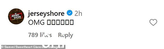 泽西海岸官方 Instagram 评论,'OMG