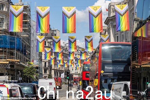 这位母亲说,学校假装跨性别者的一切都是为了“闪光和独角兽”,但却忽视了长期的医疗影响。图为:去年骄傲月期间伦敦的 LGBTQI+ 旗帜