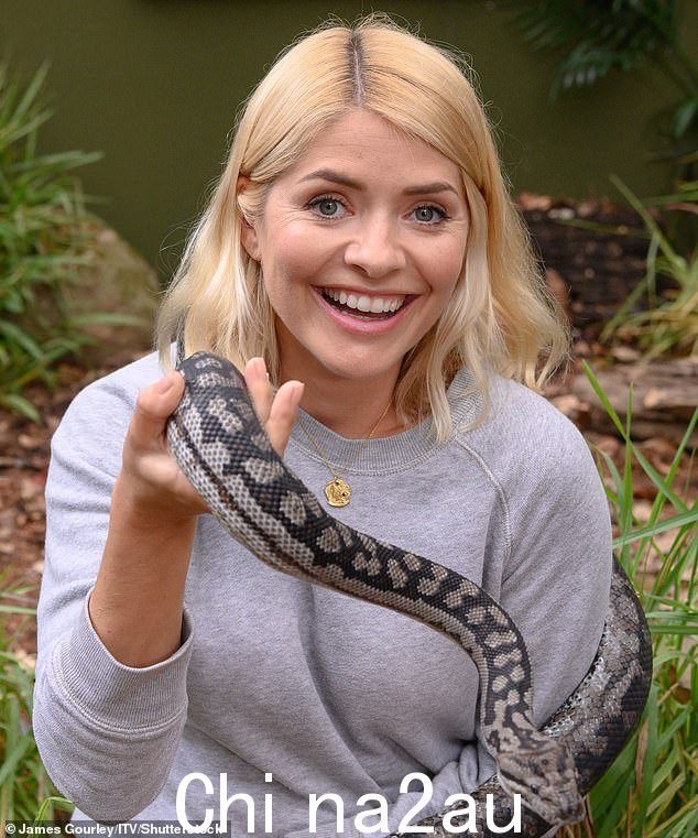 上个月 MailOnline 宣布,43 岁的霍莉·威洛比 (Holly Willoughby) 将与 49 岁的贝尔·格里尔斯 (Bear Grylls) 共同主持全新 Netflix 真人秀节目《猎熊》(Bear Hunt)
