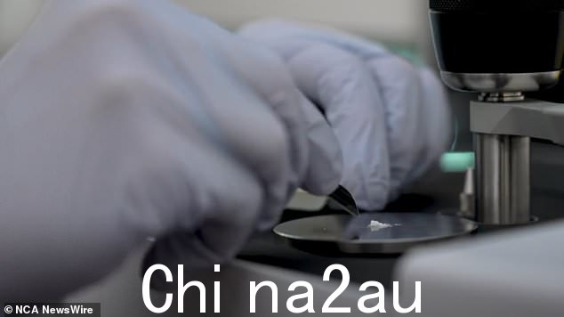 该计划被称为药丸测试,将从 100 名志愿者身上采集样本,然后对他们的物质进行分析