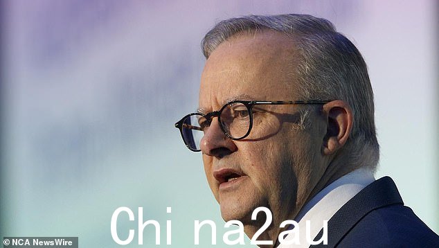 PM ALBANESE