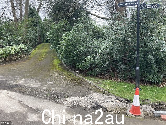 庄园中一条长满青苔的道路的图片。部分专属庄园已被遗弃