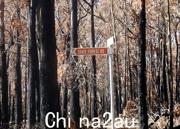 周五,警方在 State Forest Road 的一处烧毁的废墟中发现了一名 23 岁女性的尸体(如图)