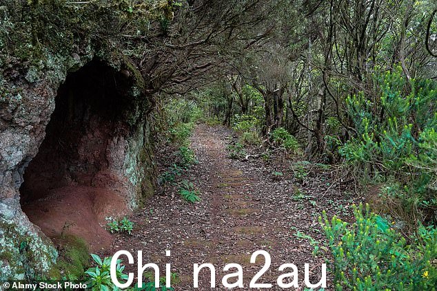 特内里费岛山路上的一个洞穴