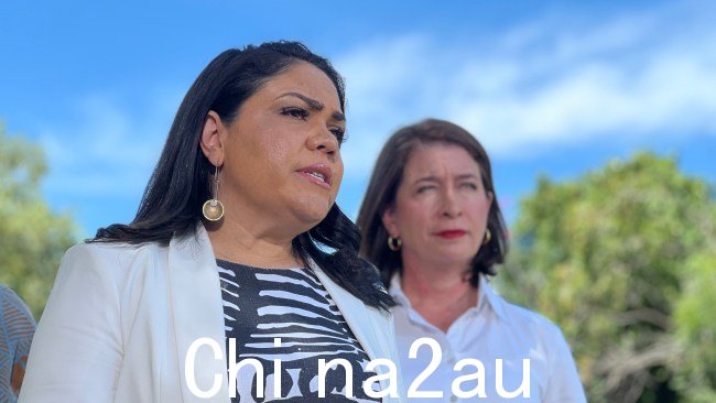 Senator Price said it这是进步领导人延续的“种族主义观念”,旨在暗示澳大利亚原住民“都认为一样”。图片:Fia Walsh/澳大利亚新闻集团