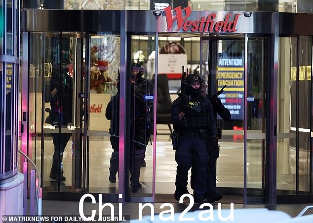 在购物中心看到携带步枪的专业警察