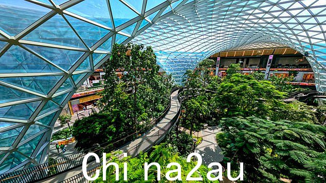 多哈哈马德国际机场在 2024 年 Skytrax 世界机场奖评选中被评为全球最佳机场,又称“机场行业奥斯卡奖”