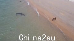 昆士兰警方：在塞拜岛失踪的托雷斯海峡 16 岁少年可能被鳄鱼袭击致死