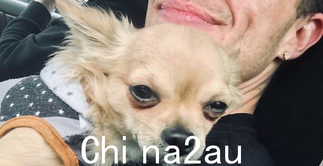 Luke Renfrew 和 Rhys Habermann 迫切希望与他们心爱的狗团聚
