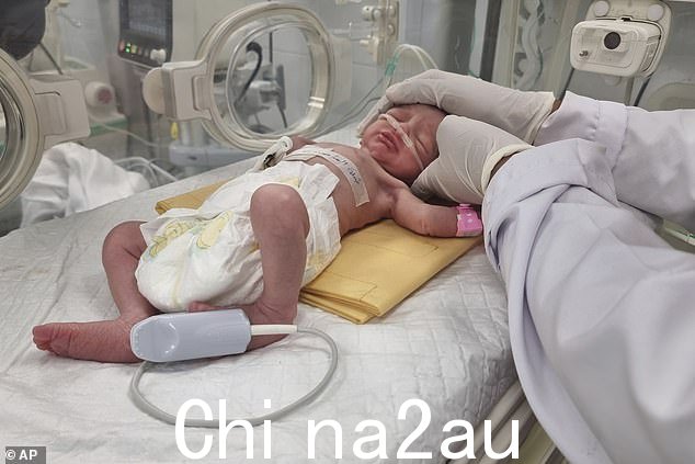 一名巴勒斯坦女婴,她的母亲在以色列袭击中与丈夫和女儿一起在以色列袭击中丧生,她早产,她躺在拉法阿联酋医院的保温箱里