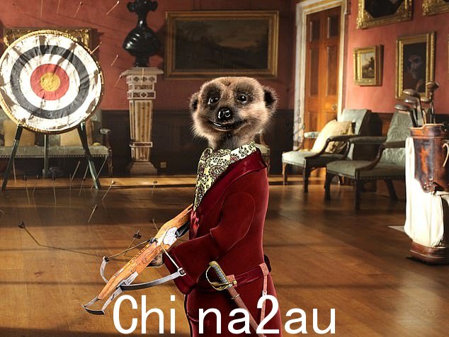 Compare the Market 以其有趣的 Compare the Meerkat 广告活动而闻名,其中包括拟人化的俄罗斯猫鼬 Aleksandr Orlov(如图)