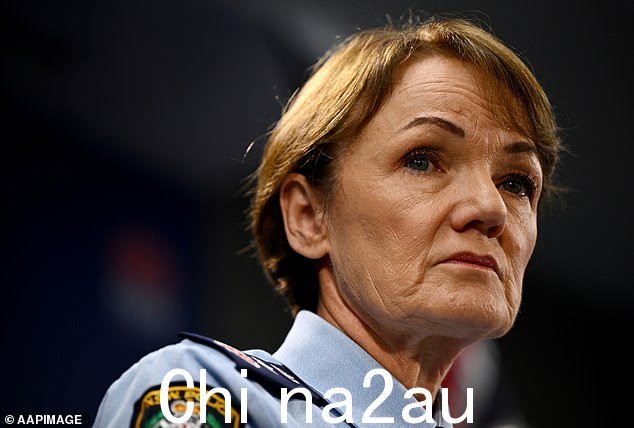 新南威尔士州警察局长凯伦·韦伯 (Karen Webb) 表示,在澳大利亚家庭暴力激增之际,莫莉·泰斯赫斯特 (Molly Ticehurst) 被指控谋杀的“可怕”事件“不应该发生”