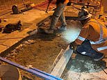 大型道路建设公司 Allroads Pty Ltd 倒闭,欠款超过 8000 万美元
