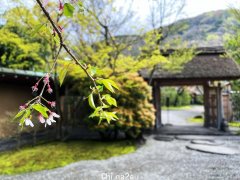 【宿记】九州大分由布院 龟之井别庄