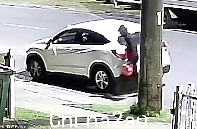警方发布了闭路电视录像,显示两名疑似男性纵火犯带着油桶走向一户人家(如图)