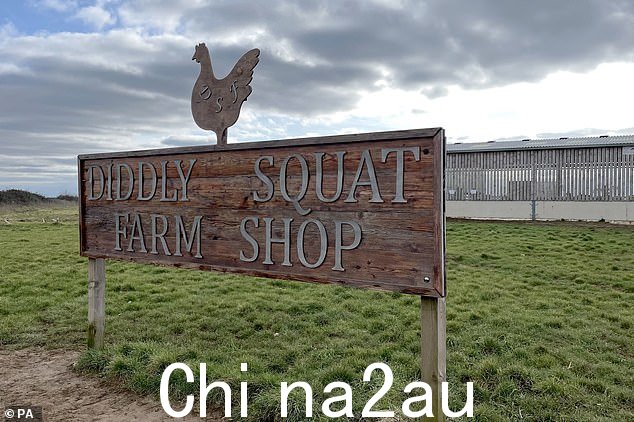 Chipping Norton 的 Diddly Squat 农场说道:“我想,当我买了一个农场时,我会感觉自己成功了,那时我实际上可以放松一点。多花一点时间与家人在一起'
