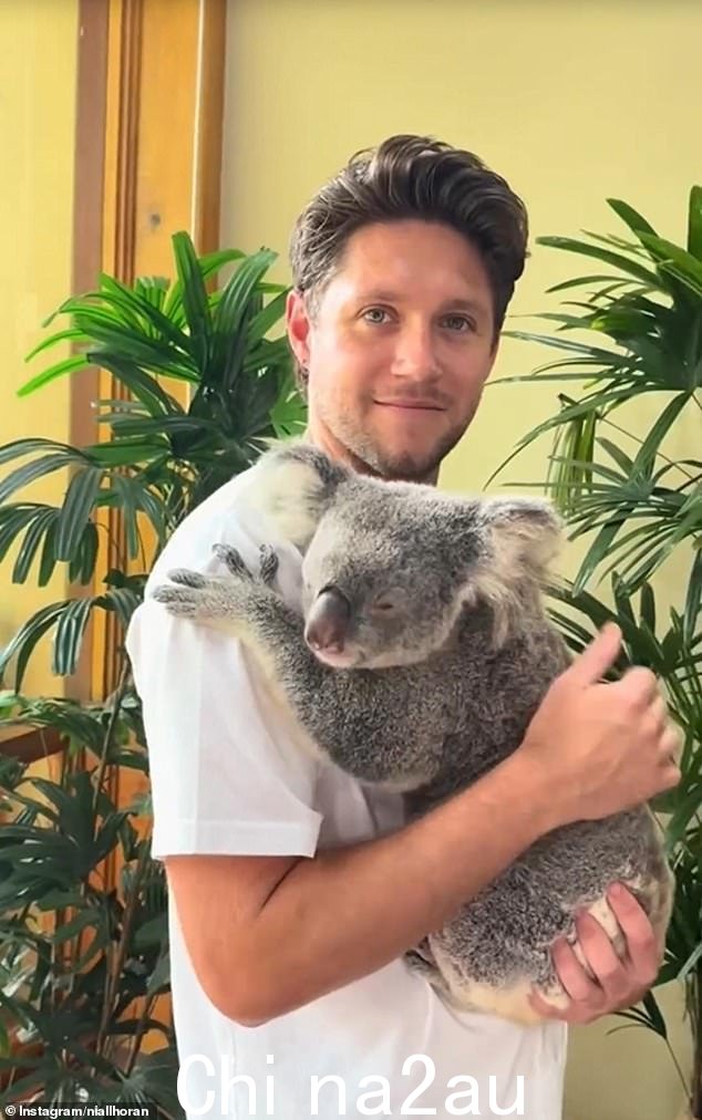 One Direction 的 Niall Horan 周一参观了澳大利亚动物园