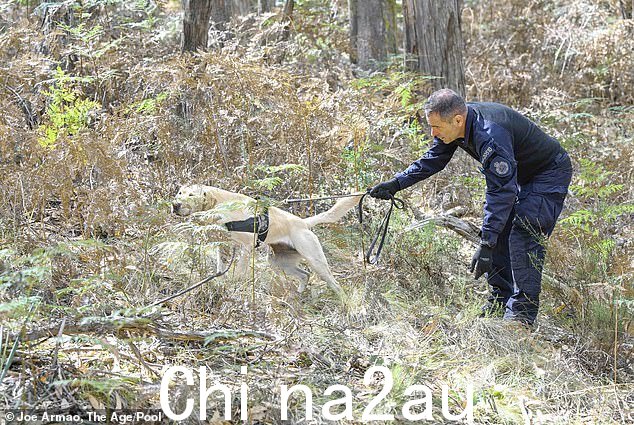 警方在 3 月份的另一次搜查中在 Buninyong 寻找线索