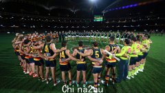 由于联盟对针对女性的暴力行为采取了立场，AFL因过去的麻烦而取消了韦恩·凯里的名人堂入选资格