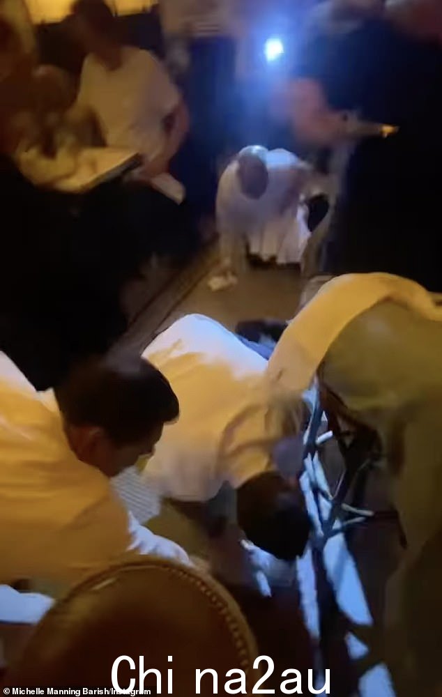 麦克纳利说有人释放了老鼠,作为对他发布有关桑切斯的攻击的一部分