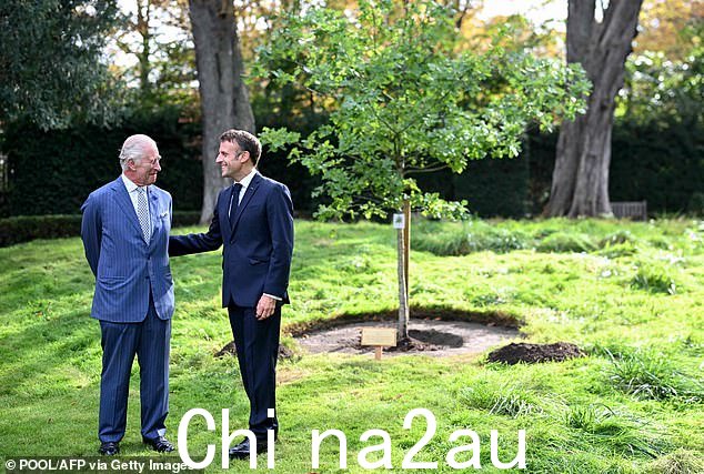 君主还得到马克龙总统的帮助,在英国大使官邸的花园里种了一棵树