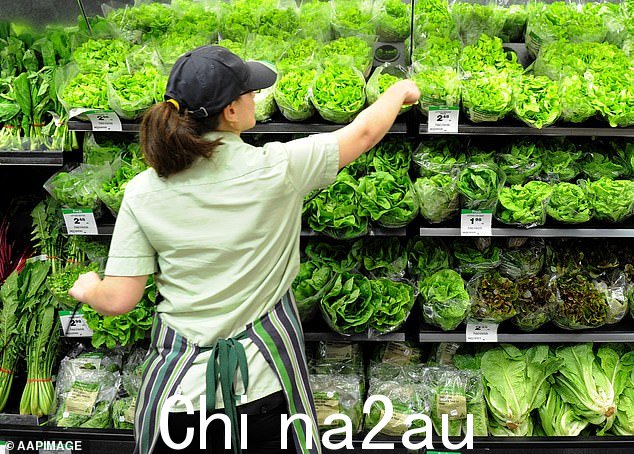 Woolworths 员工将投票决定在新的企业协议中添加每周工作四天的选项