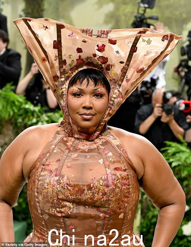 Lizzo 身穿棕褐色花卉礼服,搭配配套头饰,粉丝将其与“用过的咖啡过滤器”进行比较