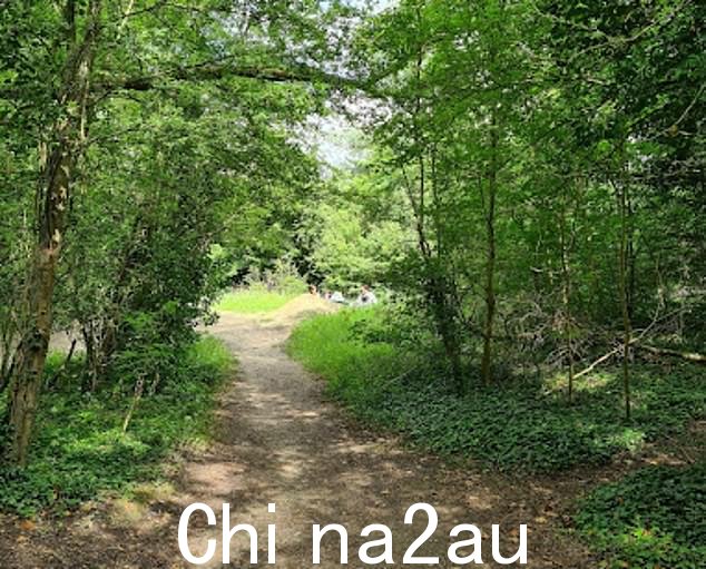 由于隐私原因,这名女孩的身份仍然不明,据称她在复活节放假期间被十几岁的男友引诱到西弗兰德斯科特赖克的一个树林里