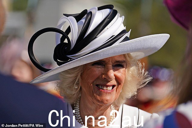 卡米拉女王向参加白金汉宫皇家花园派对的客人讲话
