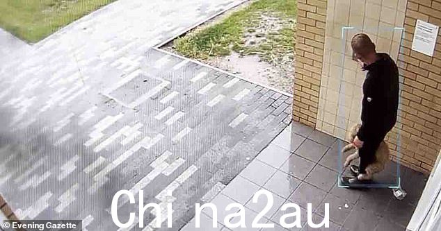 无情的暴徒将狗夹在两腿之间,压迫她的胸部