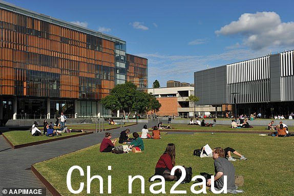 2013 年 5 月 8 日星期三,学生们坐在悉尼悉尼大学法学院大楼附近的草坪上。(AAP 图片/Paul Miller)无存档 8063581 8402215 8402215 - 8495795 13390009