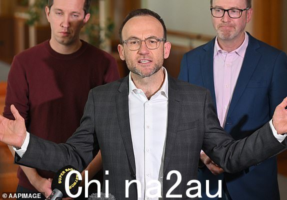 绿党成员格里菲斯·马克斯·钱德勒-马瑟、绿党领袖亚当·班特和绿党参议员大卫·舒布里奇于 2024 年 5 月 13 日星期一在堪培拉议会大厦举行的新闻发布会上。(AAP 图片/Mick Tsikas)无存档 13414081