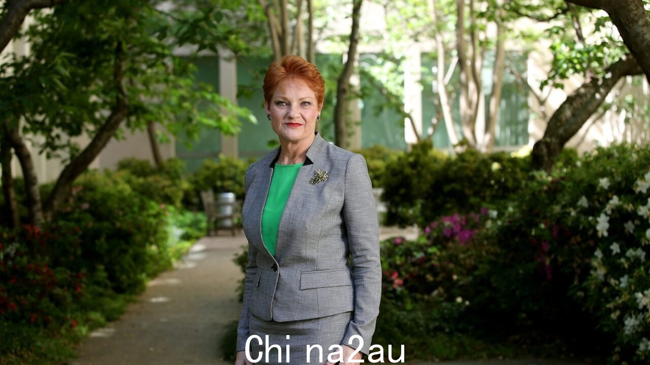 Pauline Hanson: '我不反对移民'