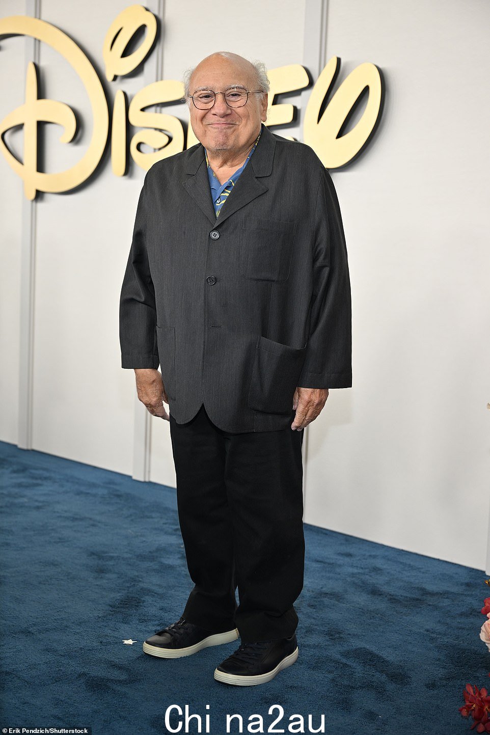 DeVito 最近确认他明年将与阿诺施瓦辛格一起拍摄电影