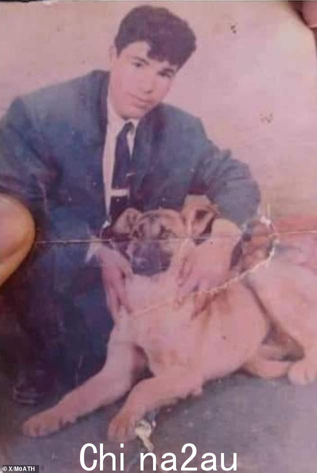 他的家人相信他已经死了,在 20 多年前激烈的阿尔及利亚内战中被杀。亲戚称这只狗在附近闻到奥马尔的气味后中毒了