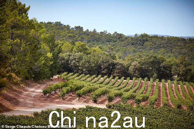 当朱莉出售她在米拉瓦尔城堡 (Chateau Miraval) 的份额时,皮特措手不及。米拉瓦尔城堡是皮特和朱莉于 2008 年购买的位于法国南部的一座拥有 35 个房间的庄园和著名的葡萄园。这片占地 1,000 英亩的庄园现在的价值为2014 年,这对夫妇以 1.64 亿美元喜结良缘